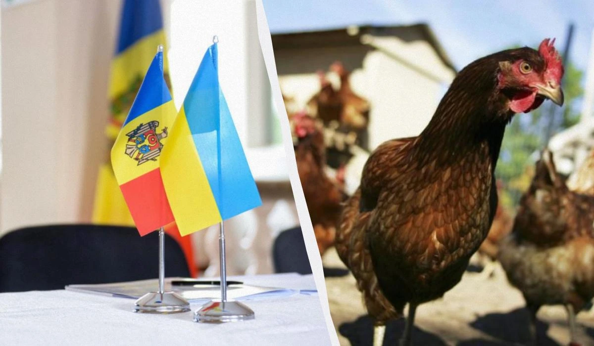 Молдова навмисно перешкоджає експорту курятини з України ще з 2022 року, – експерт