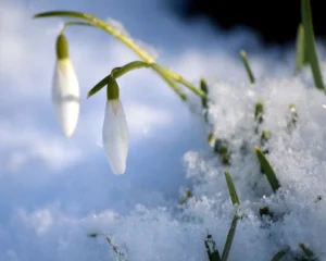 Синоптики оновили прогноз на понеділок